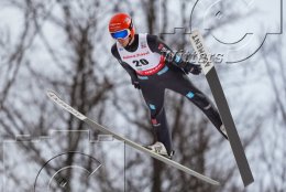 Wintersport Skispringen