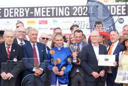 Pferdesport Reiten Galopp