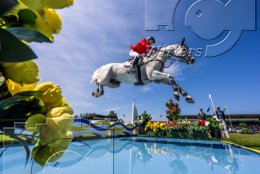 Pferdesport Reiten Springreiten