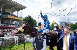 Pferdesport Reiten Galopp