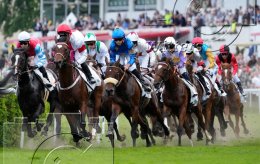 Pferdesport Reiten Galopp