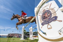 Pferdesport Reiten Springreiten