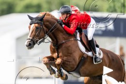 Pferdesport Reiten Springreiten