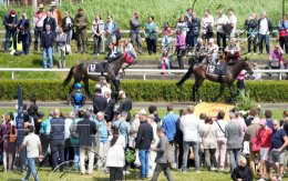 Pferdesport Reiten Galopp