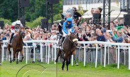 Pferdesport Reiten Galopp