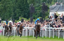 Pferdesport Reiten Galopp