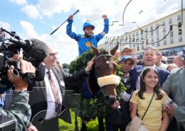 Pferdesport Reiten Galopp