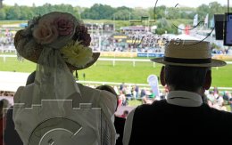 Pferdesport Reiten Galopp