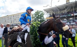 Pferdesport Reiten Galopp