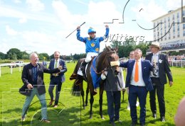 Pferdesport Reiten Galopp