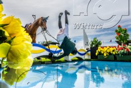 Pferdesport Reiten Springreiten