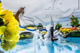 Pferdesport Reiten Springreiten