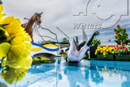 Pferdesport Reiten Springreiten