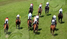 Pferdesport Reiten Galopp