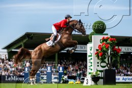 Pferdesport Reiten Springreiten